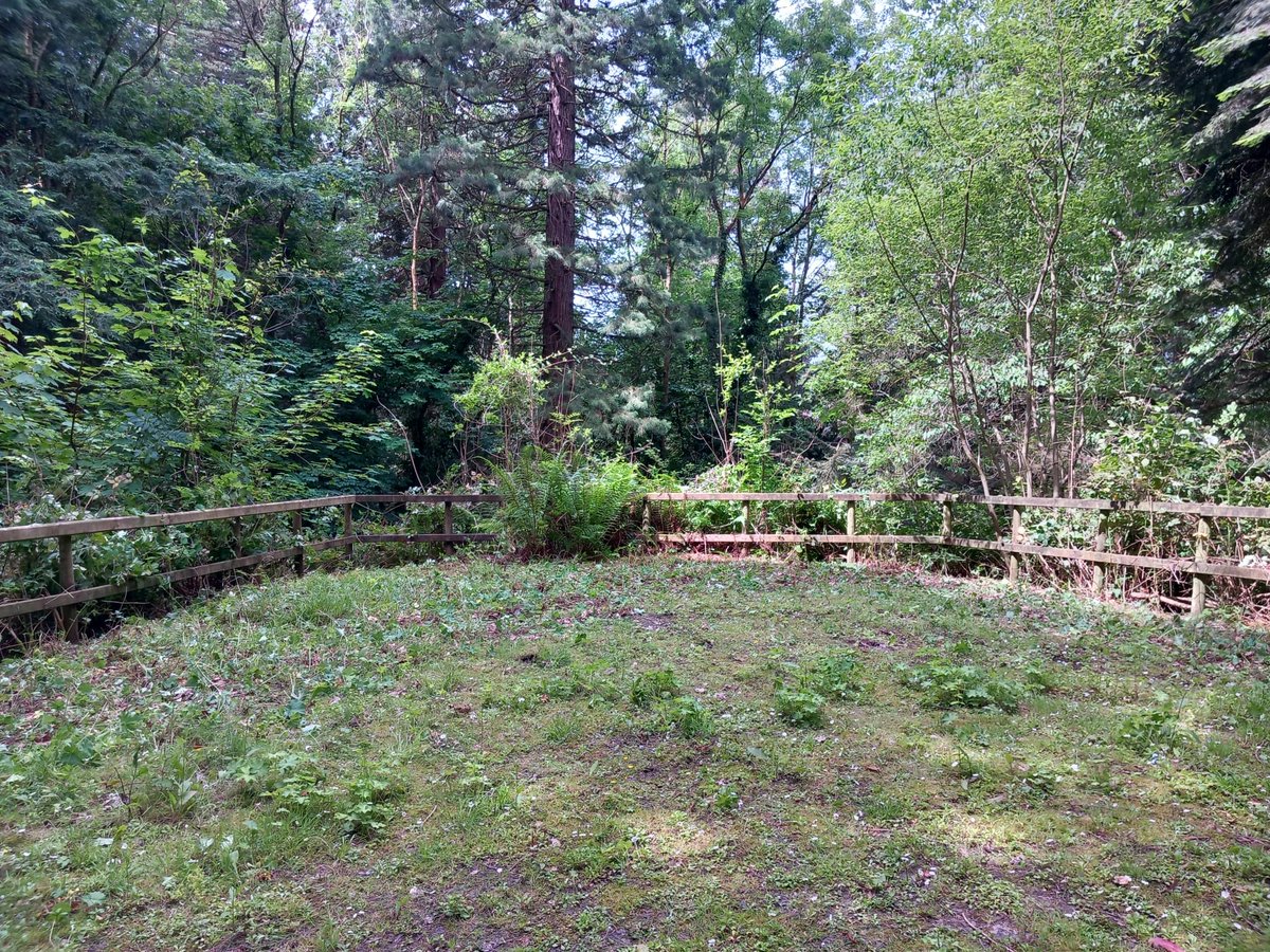 royal_forestry's tweet photo. Great day in Leighton with a wonderfully fun corporate volunteer group!
๐ชChalet car park cleared
๐ณPath down to the chalet cut back
๐ Path edges defined using deadwood
Thank you so much to every at @Riello_UPS_UK !
#RFSLife #VolunteerDay #LeightonWoods https://t.co/xEOPJJfBgv