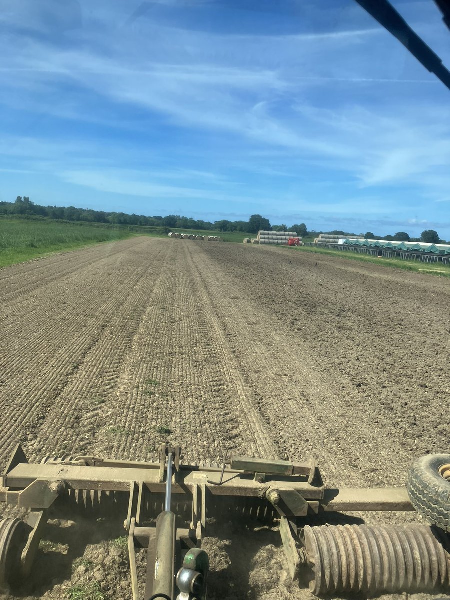 Drilling grass at the outdoor pigs today- that’ll guarantee no rain for at least a month….
