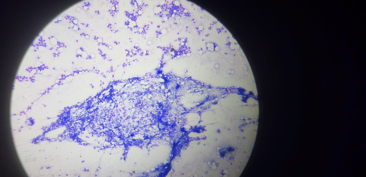 PathDiff tweet picture
