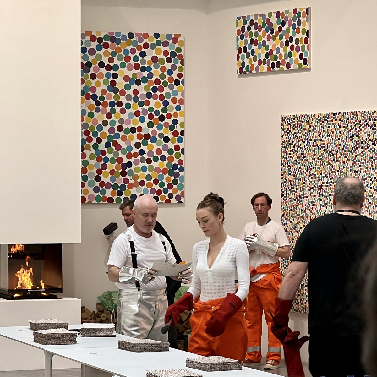 shaun davin tweet media