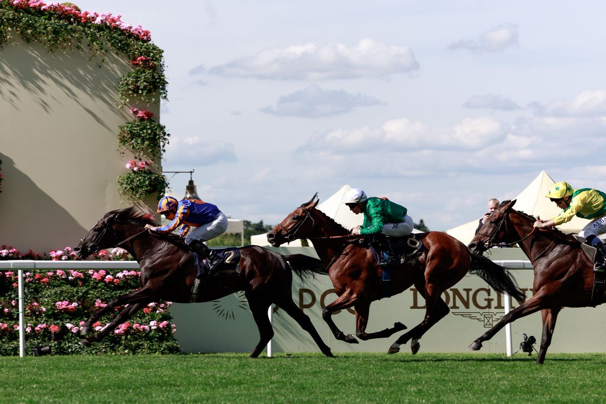 Ecurie Benaroussi (@benaroussi_s) on Twitter photo Amazing finish for ZARAKEM in a thrilling edition of the G1 Prince of Wales's Stakes at <a href="/Ascot/">Ascot Racecourse</a> to finish excellent 2nd behind 6-times G1W Auguste Rodin
♦️ Thank you champ' and thank you to all the team
<a href="/EcurieReynier/">Ecurie J.Reynier</a> <a href="/maximeguyon_off/">Maxime Guyon</a> <a href="/Haras_d_Etreham/">Haras d'Etreham</a> Amazing finish for ZARAKEM in a thrilling edition of the G1 Prince of Wales's Stakes at <a href="/Ascot/">Ascot Racecourse</a> to finish excellent 2nd behind 6-times G1W Auguste Rodin
♦️ Thank you champ' and thank you to all the team
<a href="/EcurieReynier/">Ecurie J.Reynier</a> <a href="/maximeguyon_off/">Maxime Guyon</a> <a href="/Haras_d_Etreham/">Haras d'Etreham</a>