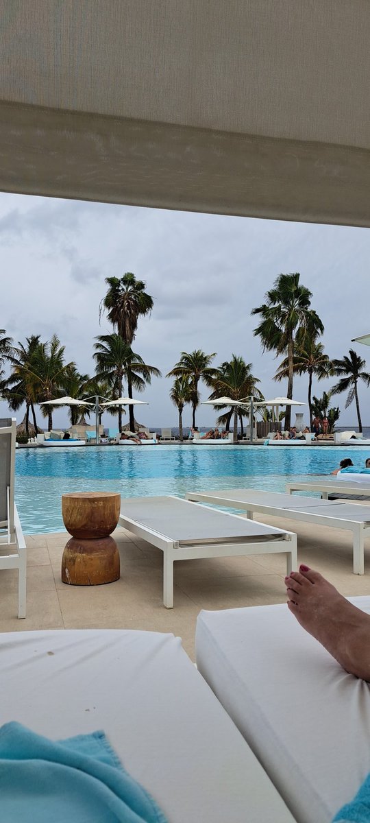 Dick Brouwer tweet media