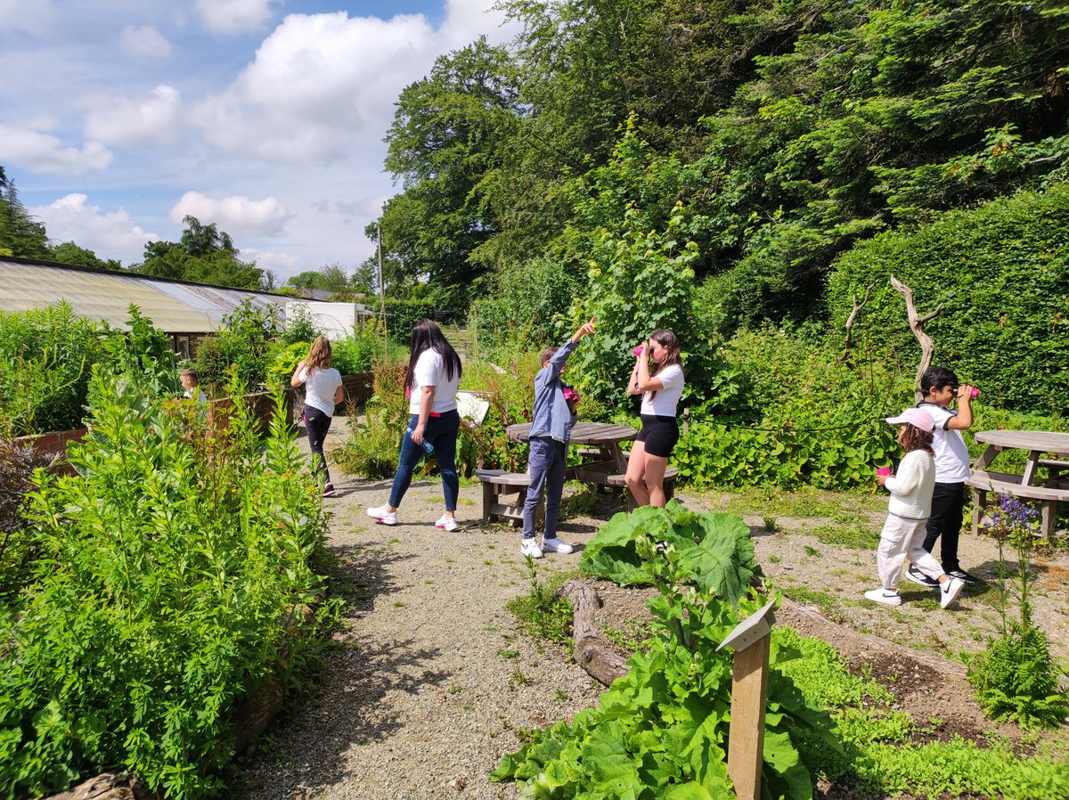 MiniExplorersPD's tweet image. What a wonderful day we've enjoyed 🏰@ThePictonCastle
A special thanks to Kate from the Heritage Centre 😊 a truly hands on experience. We loved exploring the gardens too 💚 @SchsofSanctuary #RefugeeWeek 🧡 #OurHome @HeadPdcs