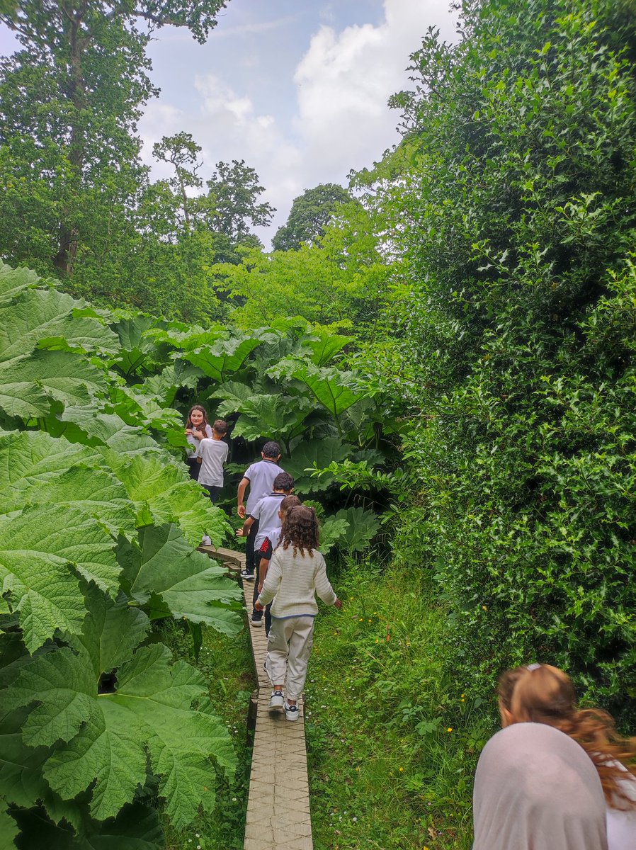 MiniExplorersPD's tweet image. What a wonderful day we've enjoyed 🏰@ThePictonCastle
A special thanks to Kate from the Heritage Centre 😊 a truly hands on experience. We loved exploring the gardens too 💚 @SchsofSanctuary #RefugeeWeek 🧡 #OurHome @HeadPdcs