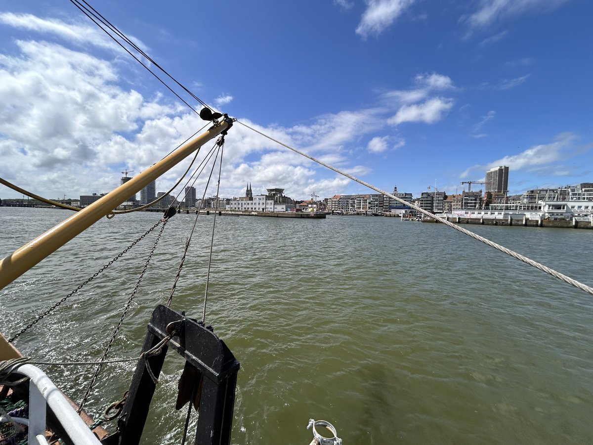 Ook België kent zijn eigen variatie op Vlaggetjesdag: het Maatjesfestival in Oostende, waarbij het vaatje Hollandse nieuwe, op zee, aan boord van een Vlaamse kotter wordt gebracht. Mooie culturele-culinaire traditie die 🇧🇪en 🇳🇱samenbrengt. Immers, de liefde gaat door de mond …