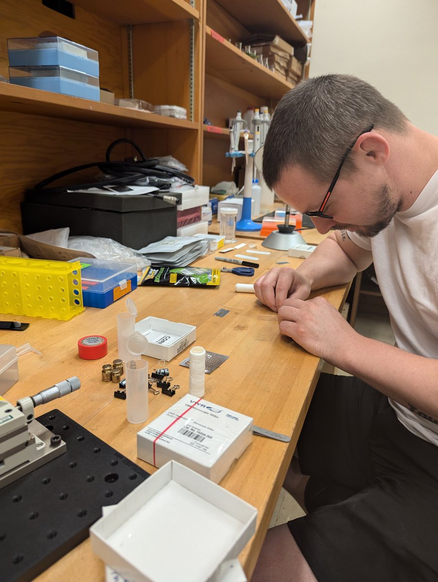 Sac State SquishyPhysics (@squishyphysics) on Twitter photo Summer sample preparation has kicked off! This summer, <a href="/SacStatePhysics/">Sac State Physics</a> students Sean Currier and Victor Hernandez will be doing high-precision mechanical characterization of plastics fishing line and biodegradable alternatives. Summer sample preparation has kicked off! This summer, <a href="/SacStatePhysics/">Sac State Physics</a> students Sean Currier and Victor Hernandez will be doing high-precision mechanical characterization of plastics fishing line and biodegradable alternatives.
