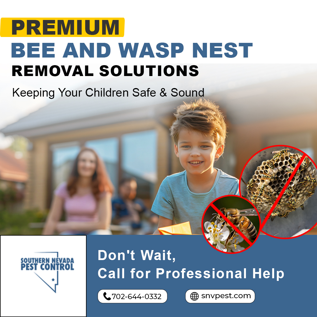 SNVPest's tweet image. Protect your child with #SouthernNevadaPestControl! Our bee and wasp nest removal services ensure a sting-free environment. Contact us today at 702-644-0332 or visit snvpest.com for expert, child-safe pest control! #ChildSafety #PestControl #BeeControl #WaspControl