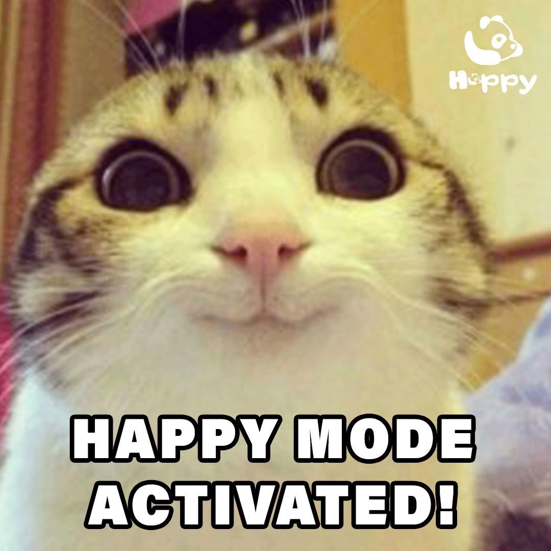 Happy Coin tweet media