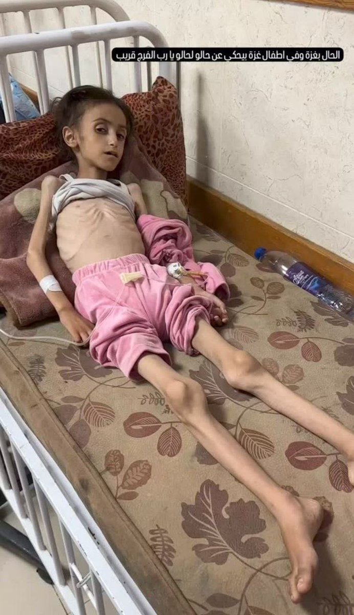 ahmad_abusbeeh's tweet image. موت بالبطيء 
أمهات شهدوا وفاة أطفالهم لأنهم لم يستطيعوا تأمين ما يبقيهم على قيد الحياة 💔

#شمال_غزة_يموت_جوعاً