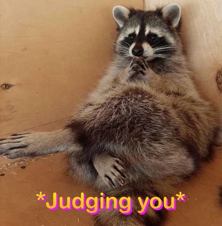 سِيدُو tweet media