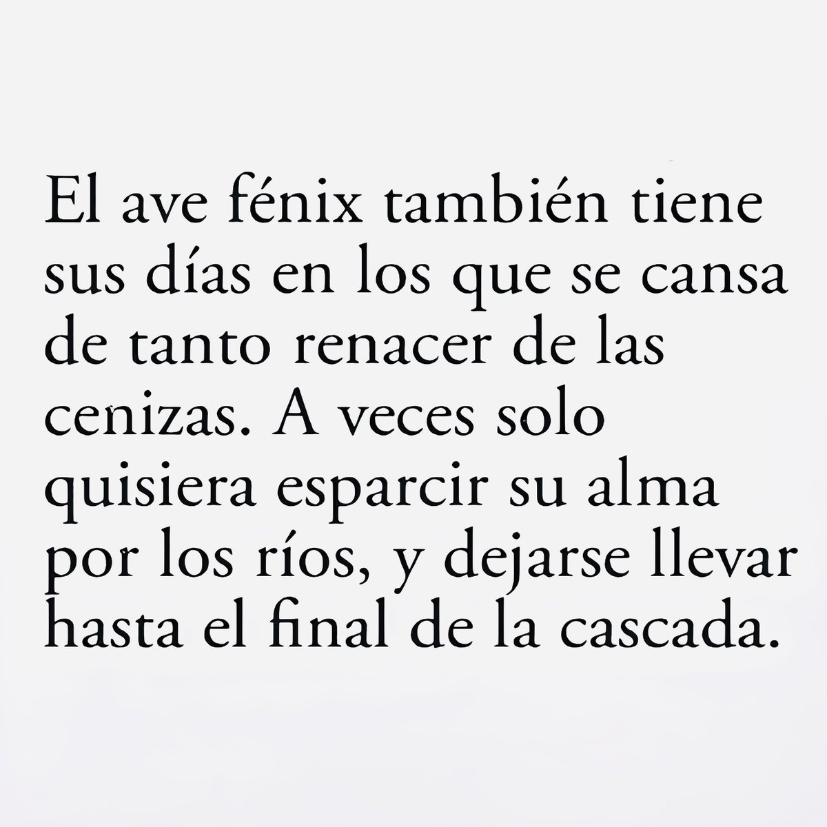 Ignacionovo's tweet photo. #frases #reflexiones #pensamientos #autoestima #amor https://t.co/aZdCER6n1y