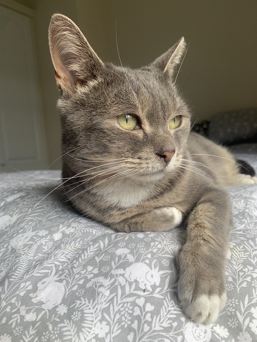 Mina Munns tweet media