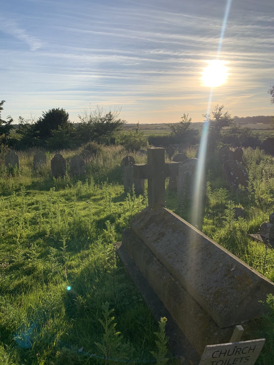 Tom Elwin tweet media