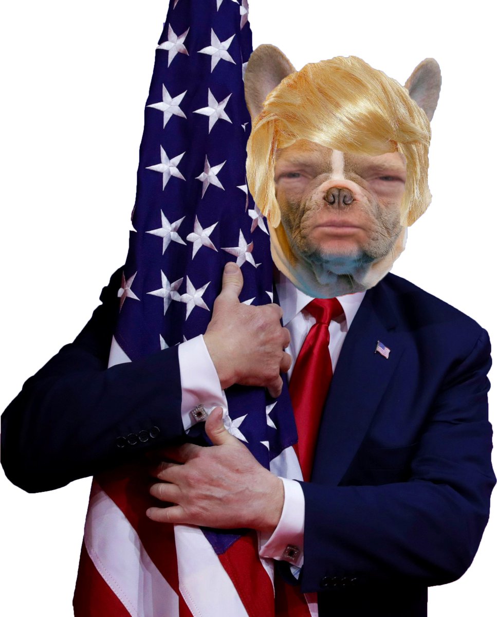 Hodl_My_Noddle's tweet photo. @kylechasse Dognald Trump just launched 🔥
https://t.co/X0mi7LMSEP
DhjeZvWAVhaduUMgcREr7Zzn32VCQisRrXTd94dspump https://t.co/PcvlGhMPed