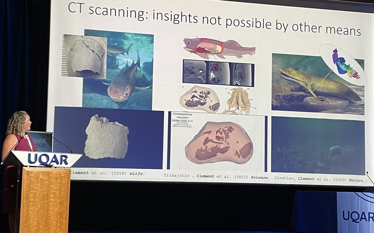 Corinne Mensforth tweet media