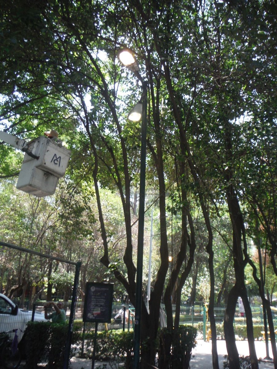 Alcaldía de Benito Juárez tweet media