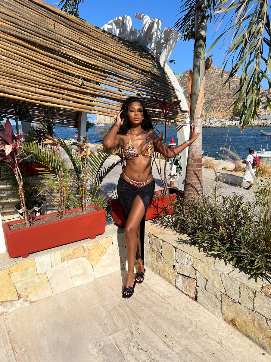DestinyShelyn's tweet photo. what’s paradise without me? 🌴 https://t.co/3URYrmTEfH