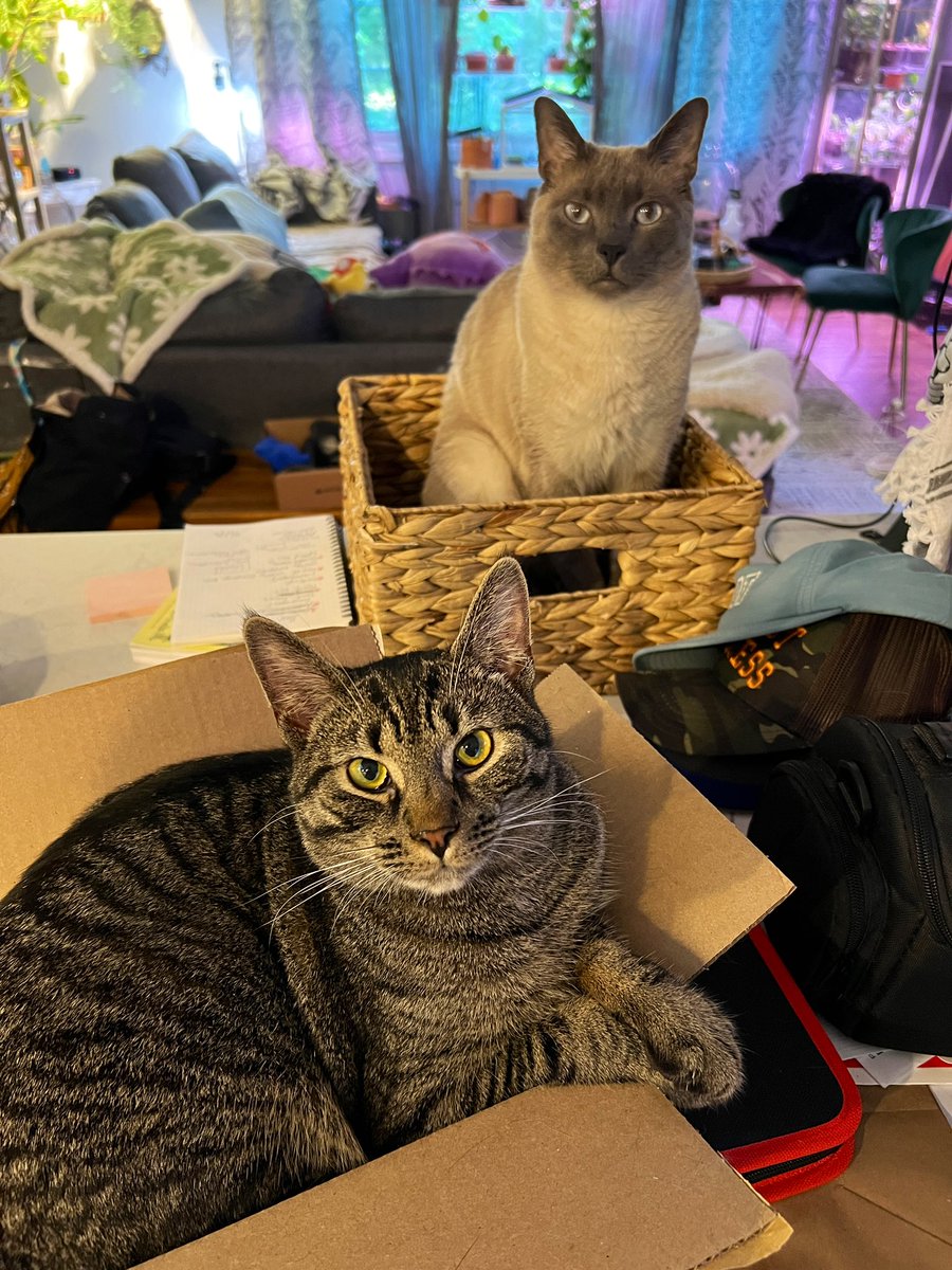 chrismel tweet media