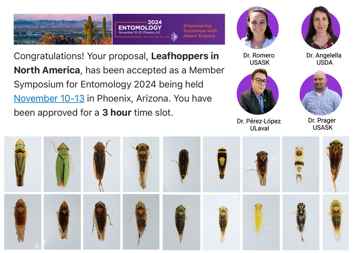 Edel Pérez-López (@edel_plopez) on Twitter photo 🚨🐞📢 The news is out! If you are attending the Entomology 2024 conference by <a href="/EntsocAmerica/">Entomological Society of America</a> in November (you should, it's an amazing conference), don't miss the Symposium on Leafhoppers in North America that <a href="/bugsabout1/">Berenice Romero</a>, Gina Angelella, <a href="/USaskEnt/">Prager Lab</a>, and I have organized! There's 🚨🐞📢 The news is out! If you are attending the Entomology 2024 conference by <a href="/EntsocAmerica/">Entomological Society of America</a> in November (you should, it's an amazing conference), don't miss the Symposium on Leafhoppers in North America that <a href="/bugsabout1/">Berenice Romero</a>, Gina Angelella, <a href="/USaskEnt/">Prager Lab</a>, and I have organized! There's
