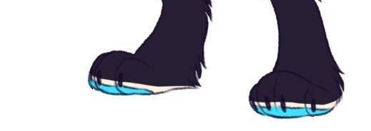 Streaming over on twitch.tv/anarchity !

Making a Custom Order set of 2 toned outdoor feetpaws!

Working down my commission list, so expect a lot of streams!