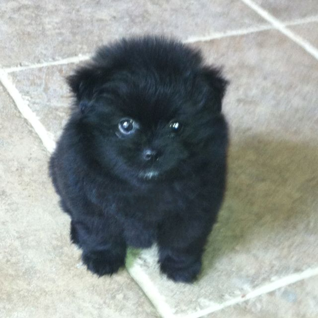 $grr (cto) tweet media