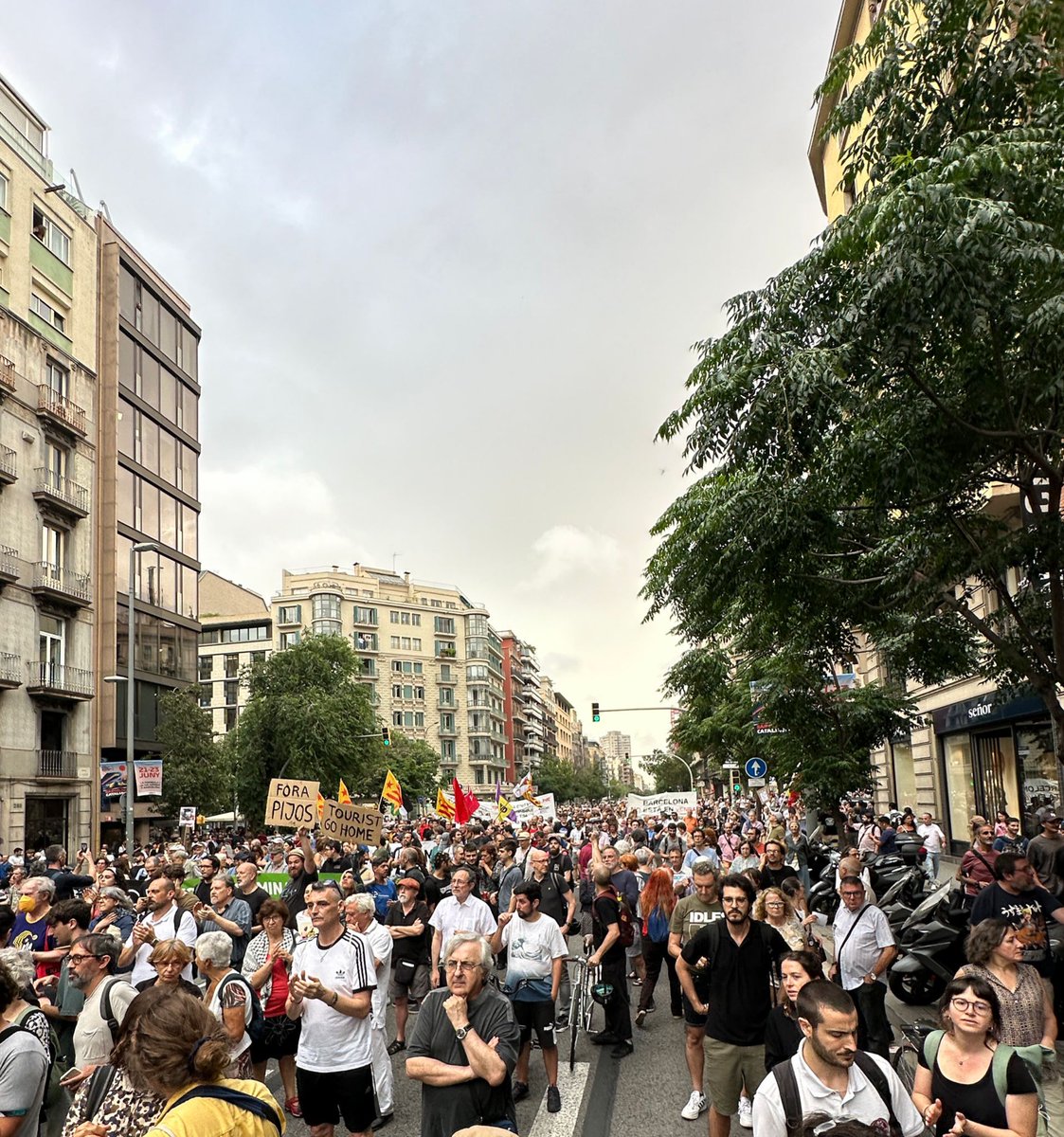 PoblenouAVV's tweet photo. No us sembla de sentit comú?
#ForaFormulaFum
El dret a la salut no hauria d'estar per damunt d'aquest despropòsit?
La ciutat ha de derivar en un espai saludable pel seu veïnat. Així no ho farem!
@BCN_EspaiPublic @bcn_ajuntament @gencat @salutcat @BCN_CiutatDrets https://t.co/3NxfOlQGH5