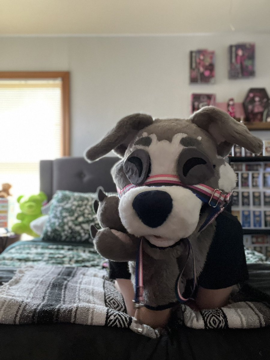 Come now I’m a simple pubby. 

All I want is your attention and for you to tell me I’m a good girl ~ 💕✨