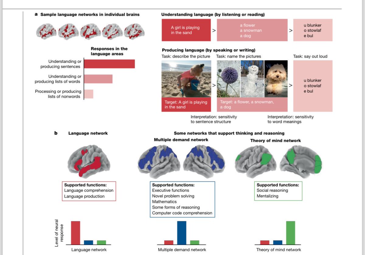 DİL DÜŞÜNCE İÇİN DEĞİL İLETİŞİM İÇİN VAROLDU

Beyindeki konuşma ve anlama merkezlerin konusunda son 20 yıldaki çalışmalar derlenmiş. 

Sonuçlar Dil-Zihin etkileşimi açısından önemli..

“Dil beyin açısından düşünce sistemi mi yoksa iletişim sistemi mi?” sorusu hem nörobilimin hem