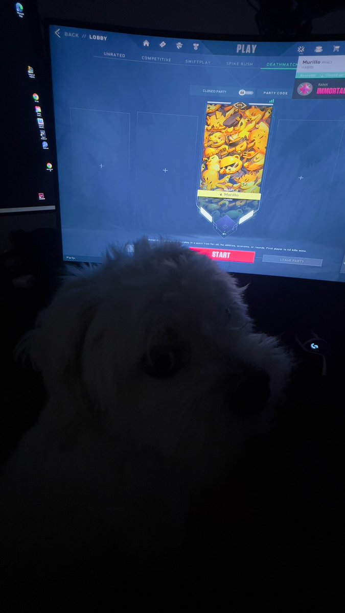 Logan wants to take over my scrims