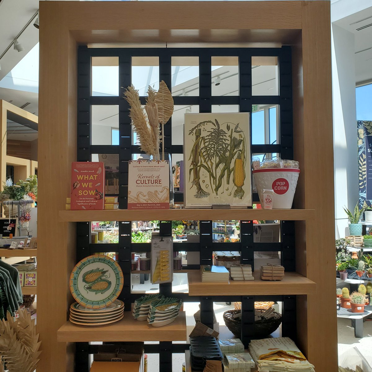 MobotMuseum's tweet photo. #KernelsOfCulture #MaizeAroundTheWorld

Check out the fabulous maize-related display at the @mobotgarden Garden Gate Shop on your next visit, and then head to @mobotmuseum to see the exhibition! 🌽💛
#corn #maize #eventnetwork https://t.co/ao8pechAef