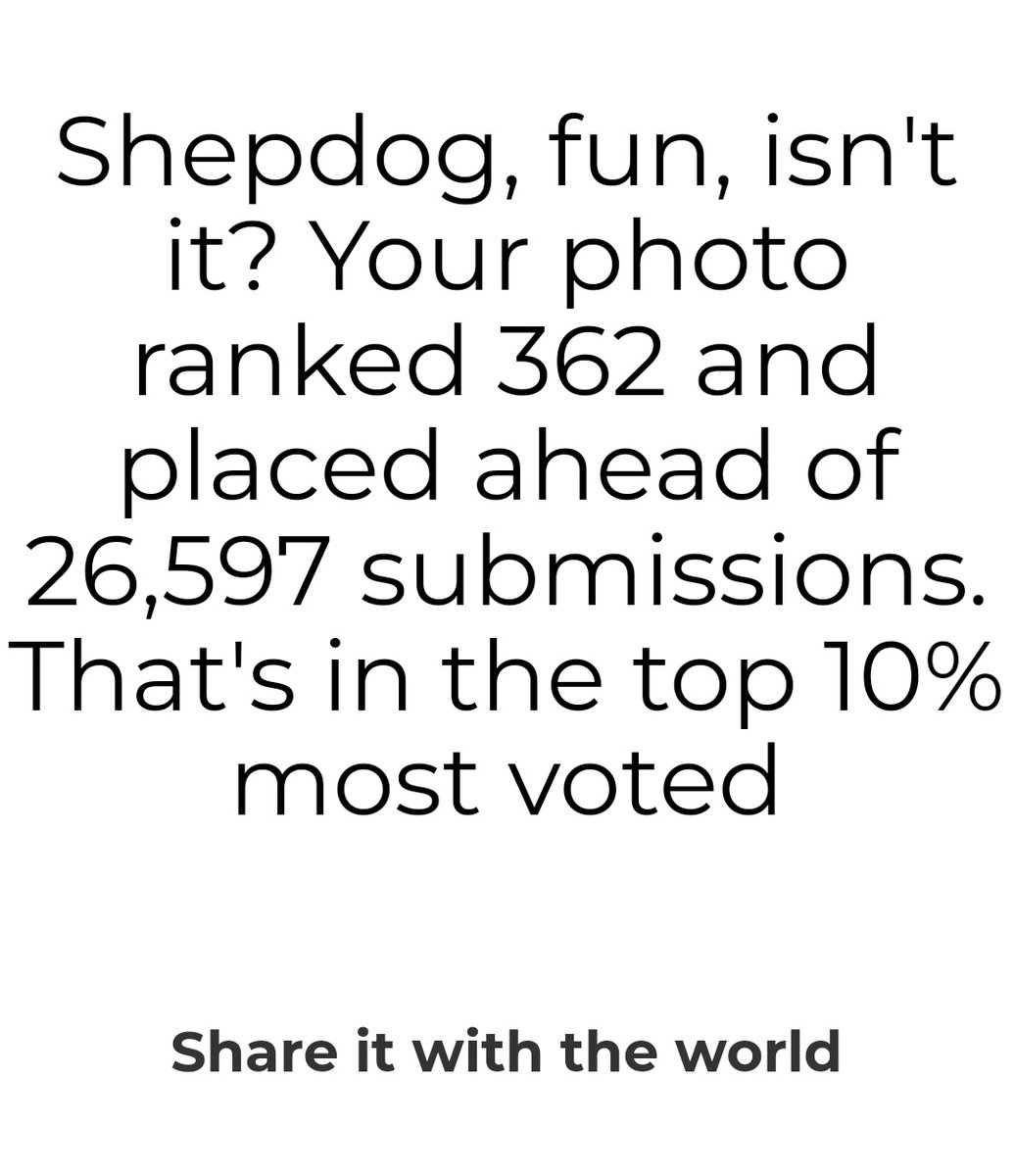 In the world...
#GodMorningTuesday #photographychallenge #photographs #shepdogshep