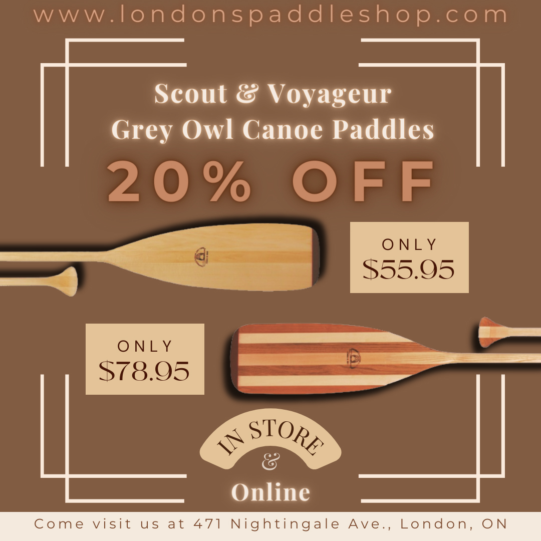 London's Paddle Shop tweet media