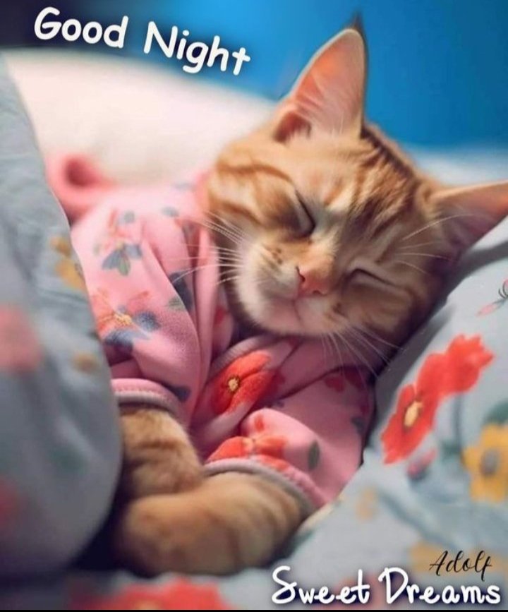 sheikhG6677's tweet photo. Good night too everyone 😴 https://t.co/JiQRPsZvQQ