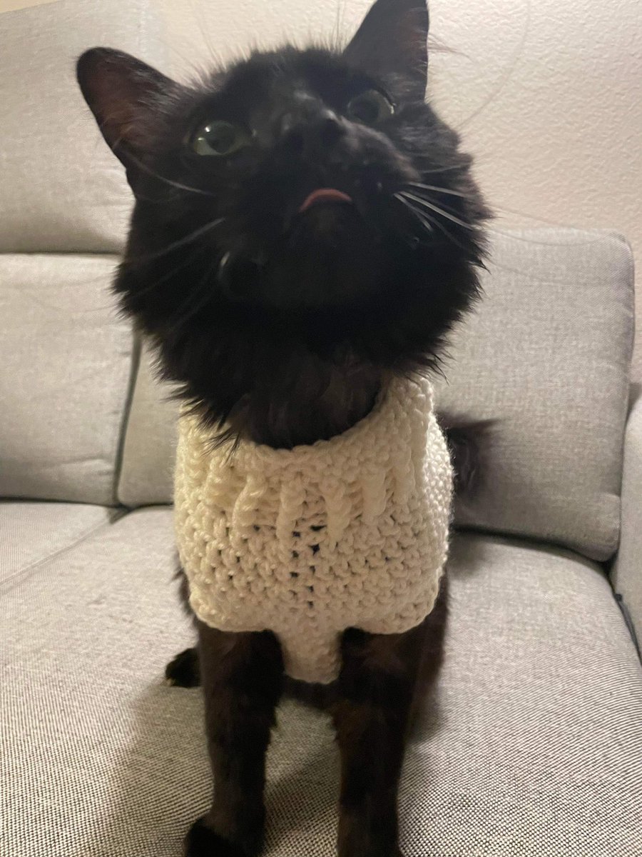 Juan Morales-Rocha tweet media