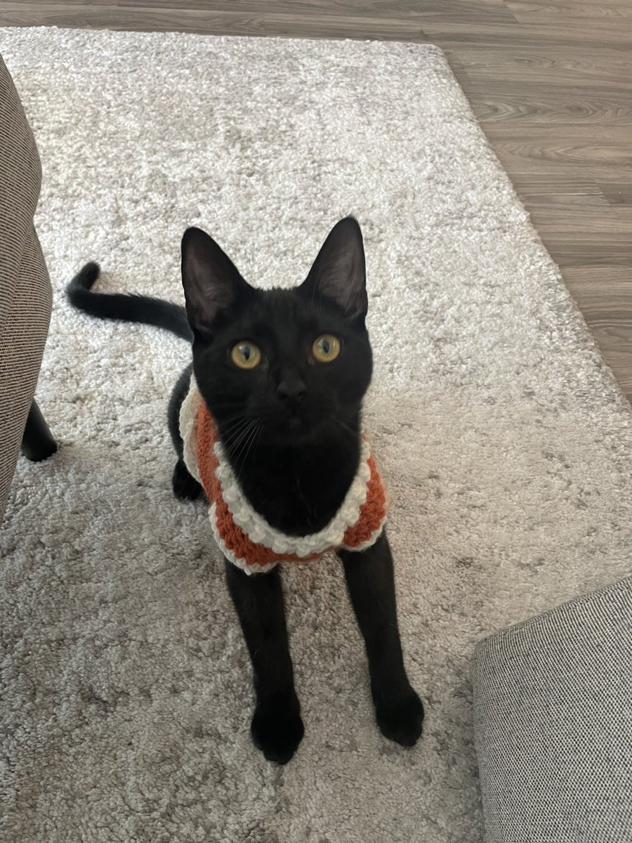 Juan Morales-Rocha tweet media