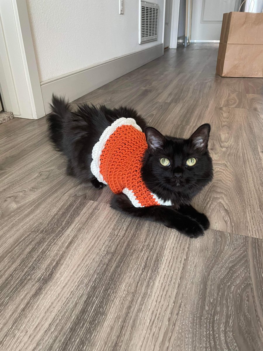 Juan Morales-Rocha tweet media