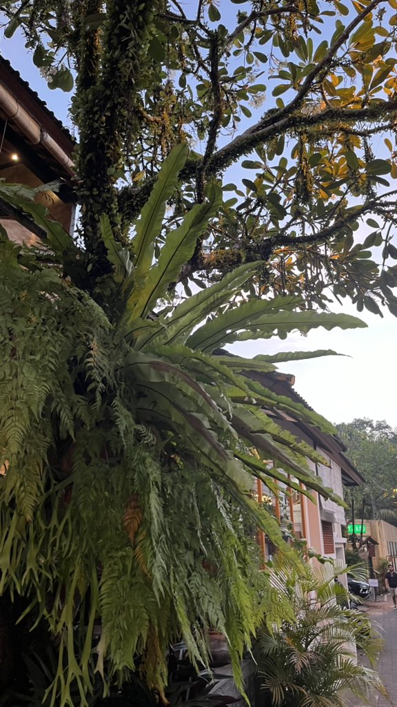 Let me be active again on this platform :)