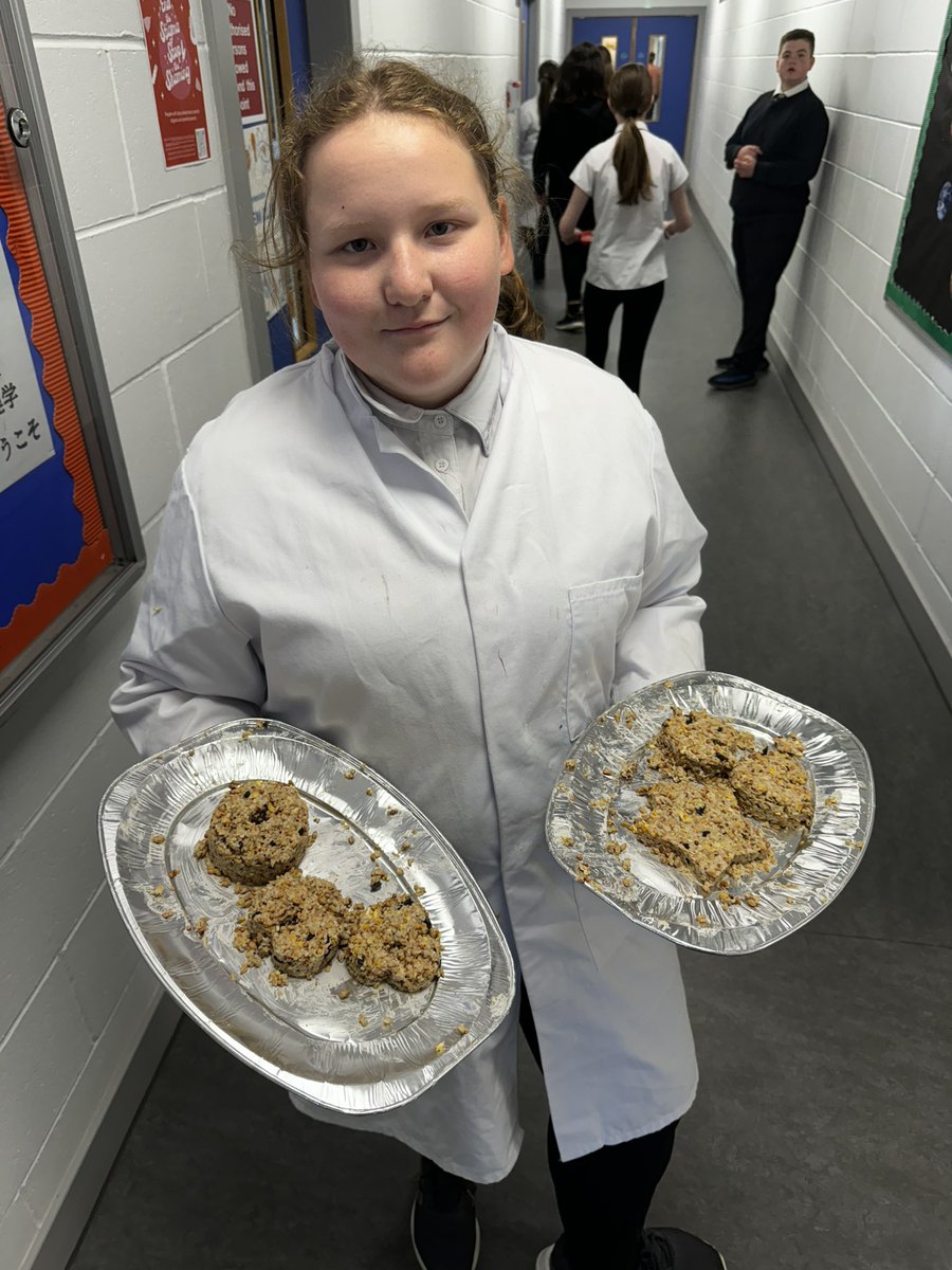 mrmartinbio's tweet photo. Senior phase practised some #sustainability recycling materials to make bird feeders today #successforall 
@ht_springburn @springburnacad @InclusionSAcad1 https://t.co/ki2A3DBAk3