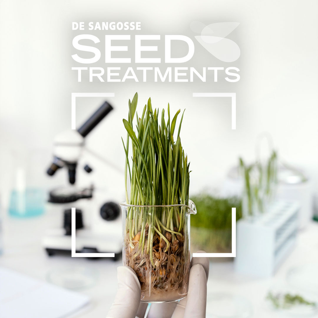 DeSangosseUK's tweet photo. 🌱 During the establishment phase, nutritional seed treatments provide the crop with readily available nutrition to support the young plants!
#desangosse #adjuvants #molluscicides #pod #sealants #biosolutions #nutrition #waterconditioners #seedtreatments #plantgrowthregulators https://t.co/wCfnmhPTHe