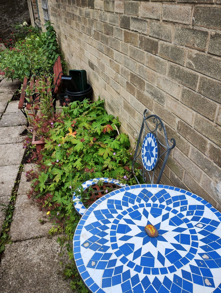 We left an #AphasiaAwarenessMonth stone in the lovely Wesley Hall community garden after collecting some lavender. Thank you <a href="/SheffMethodist/">Sheffield Methodist District</a>  <a href="/MethodistGB/">The Methodist Church</a> 💜 #RockingAphasia <a href="/RockingAphasia/">Rocking Aphasia</a> #SheffieldIsSuper