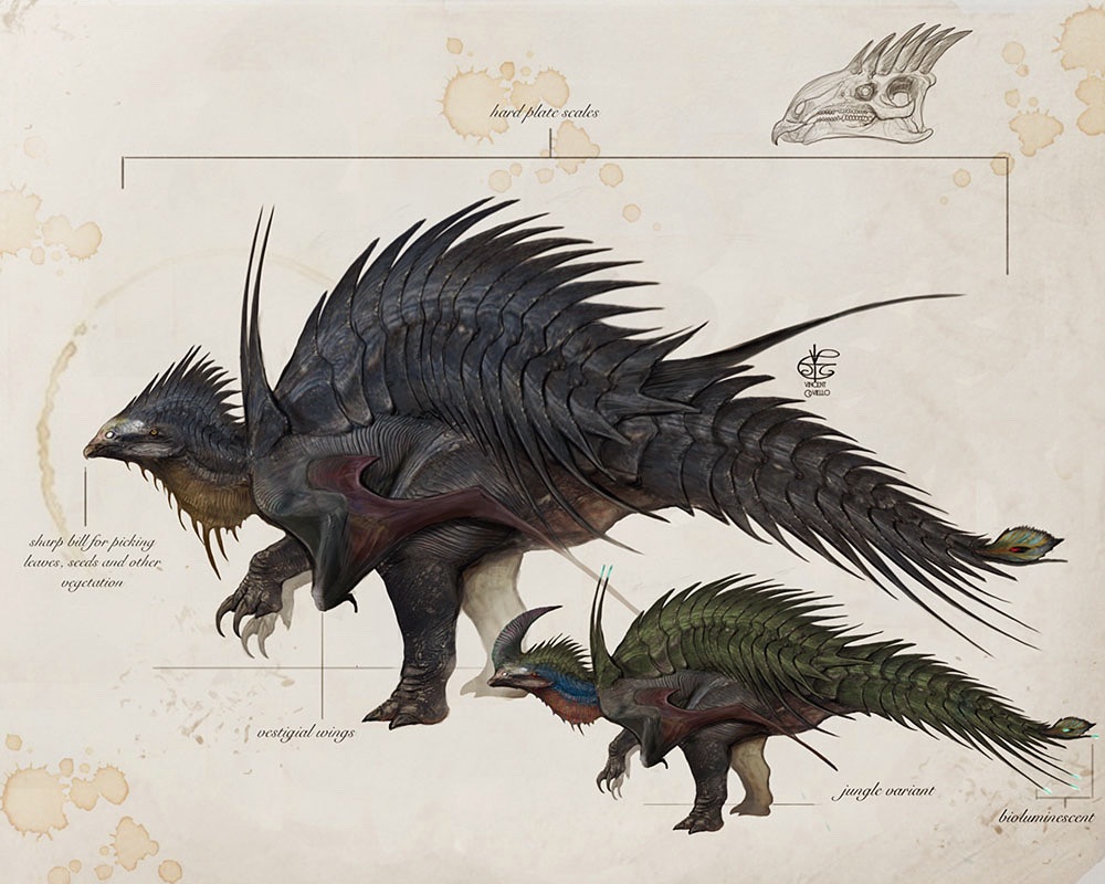 The Serrated Plate Back, one example of a very small group of ...