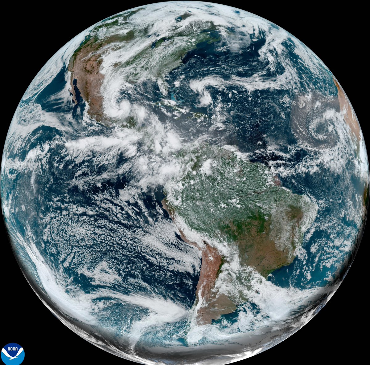 geographyhost's tweet photo. @JamesLucasIT Earth 🌎 day vs night (19 June 2024) (Credit: NASA/NOAA) https://t.co/N4BfCLzSpY