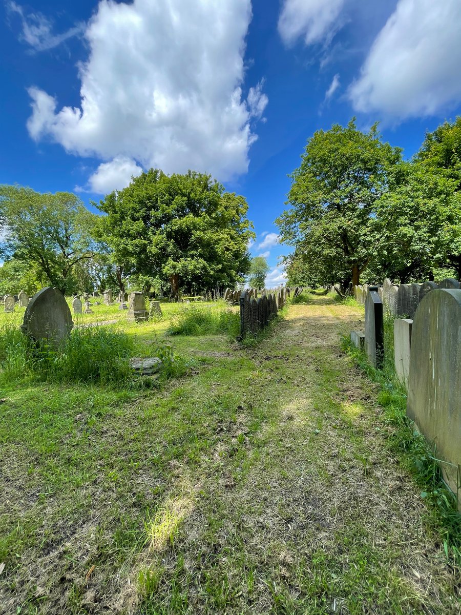 FoBSC_Leeds's tweet photo. Guinea graves basking in the sun. Lovely day to be in the cemetery https://t.co/gyspbUQa8H