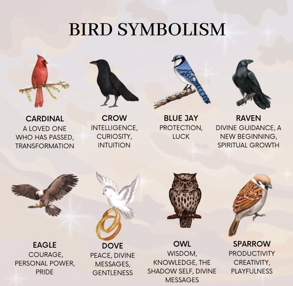 ladiekerrie's tweet photo. BIRD SYMBOLISM 🪶 https://t.co/jS03ztqJ7D
