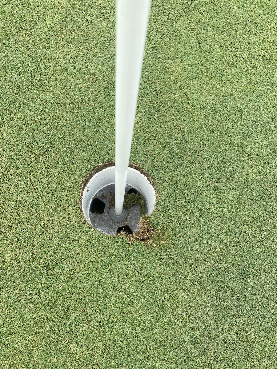 Luke Able tweet media