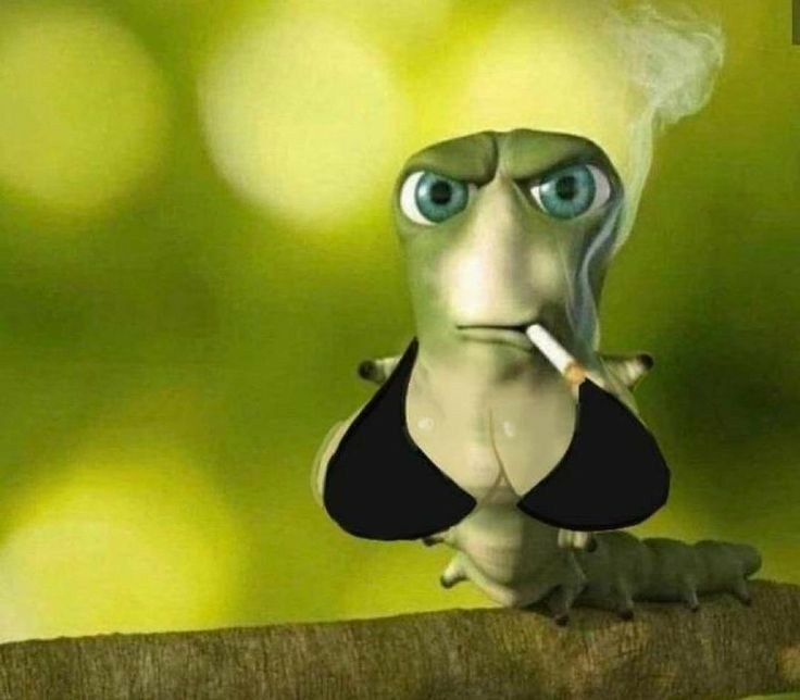 quando eu for comprar photocard de novo eu pego do sehun ou do baekhyun sera