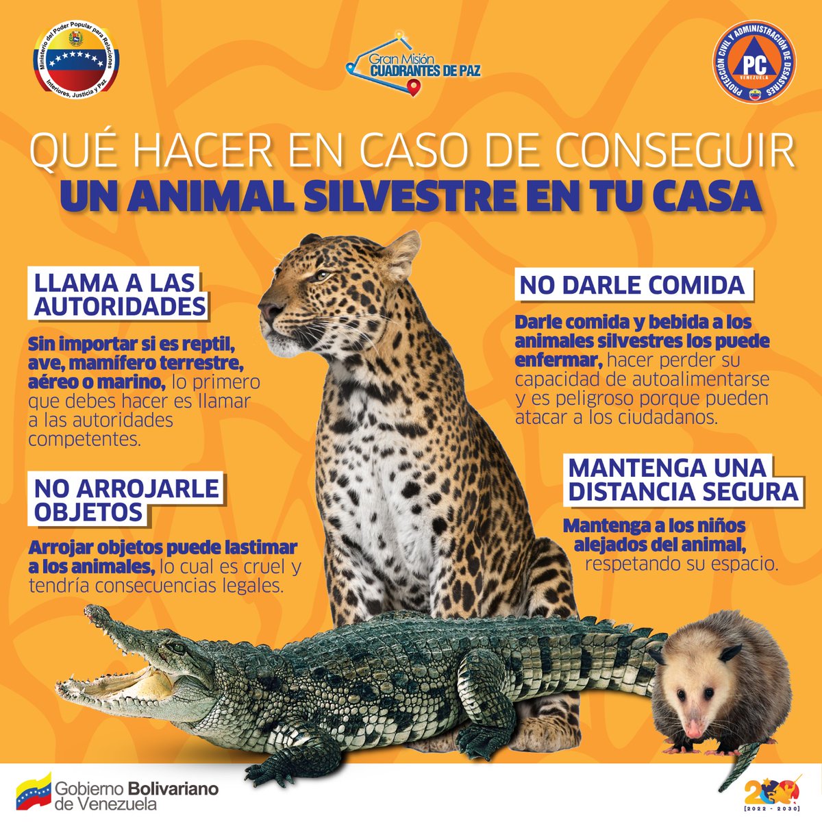 ⚠️Todas las vidas valen, y así como hay especies que pueden poner en riesgo a una familia o comunidad, también abundan las comunidades que son un amenaza para una especie de fauna completa.

#FormaciónPreventiva #ElTipoEsNico