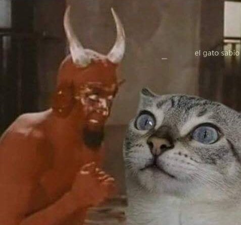 El papel higiénico que hay en el aseo rompelo en mil pedazos. ¿Por que crees que lo ponen ahí colgando? para que lo rompas.