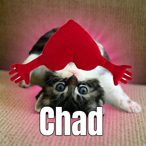 dumblingcat_cto's tweet photo. @mrpunkdoteth $dumbli, the chad one!!!!!!

2AYXG3zYQ657uqjwF4xZ3z4kRbRqXHJ1u7hz7MNxpump https://t.co/V5Y7Xj9Spq