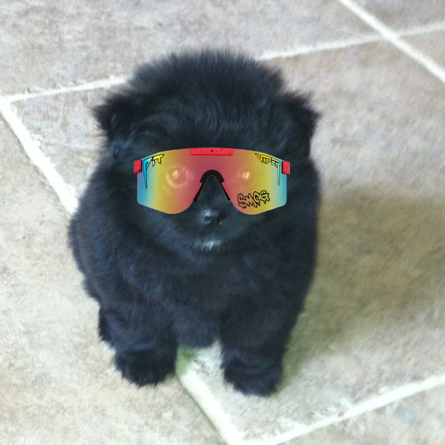 $grr (cto) tweet media